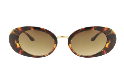 MEGAN TORTOISE